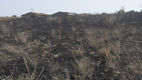 28/08/2024 Una de las zonas afectadas por incendios forestales en Ávila. Foto de archivo. 28/08/2024 Una de las zonas afectadas por incendios forestales en Ávila. Foto de archivo.