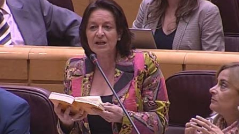 La polémica surge en el pleno del Senado La polémica surge en el pleno del Senado