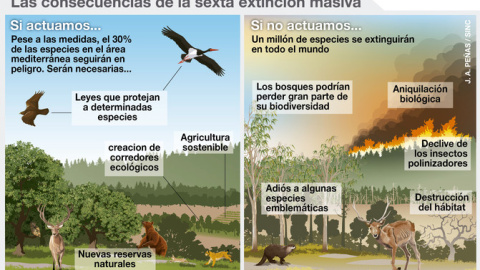 Infografía sobre la extinción masiva de especies./ J.A. Peñas Infografía sobre la extinción masiva de especies./ J.A. Peñas
