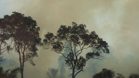 África parece tener los incendios más concentrados. Esto podría deberse al hecho de que estos son probablemente incendios agrícolas. La ubicación, la naturaleza generalizada y el número de incendios sugieren que estos incendios son, en su mayoría, 