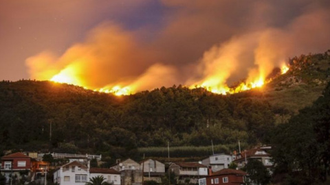 En América del Sur, especialmente en Chile, se están viviendo unos años especialmente dramáticos en lo que a incendios forestales se refiere. El centro del país experimenta una gran sequía y grandes porciones de bosques se han convertido en pasto de