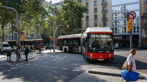 Un autobús de línea de Barcelona similar al del suceso en el que ha fallecido la anciana. (EP) Un autobús de línea de Barcelona similar al del suceso en el que ha fallecido la anciana. (EP)