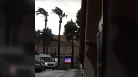  El viento huracanado acompaÃ±ado de una fuerte tromba de agua desatan el caos en la provincia de Sevilla