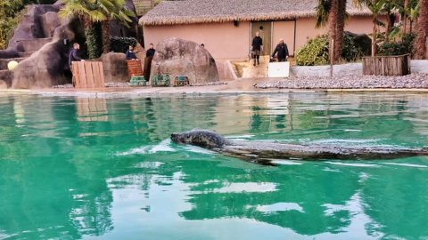 Imagen del interior del zoo | Rewild Imagen del interior del zoo | Rewild