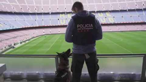 La unidad canina de los Mossos d'Esquadra en el Camp Nou - MOSSOS D'ESQUADRA La unidad canina de los Mossos d'Esquadra en el Camp Nou - MOSSOS D'ESQUADRA