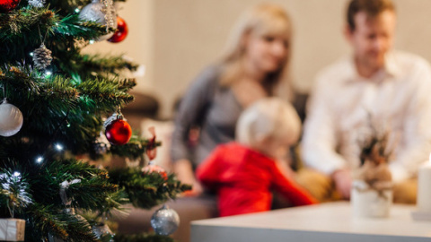 Entre los más pequeños existe un mayor riesgo de atragantamiento en el hogar relacionado con los árboles de Navidad. / Pixabay Entre los más pequeños existe un mayor riesgo de atragantamiento en el hogar relacionado con los árboles de Navidad. / Pixabay
