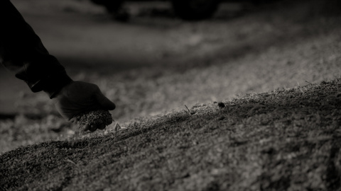 #YoMeQuedo porque quiero quedarme #YoMeQuedo porque quiero quedarme