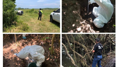 Hallan fosa clandestina con 166 cráneos en el estado mexicano de Veracruz/EFE Hallan fosa clandestina con 166 cráneos en el estado mexicano de Veracruz/EFE