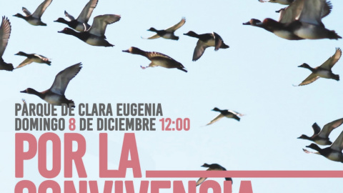 Cartel de la manifestación Cartel de la manifestación