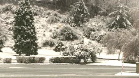 La nieve ha llegado al País Vasco La nieve ha llegado al País Vasco
