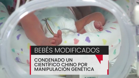 Bebés modificados Bebés modificados