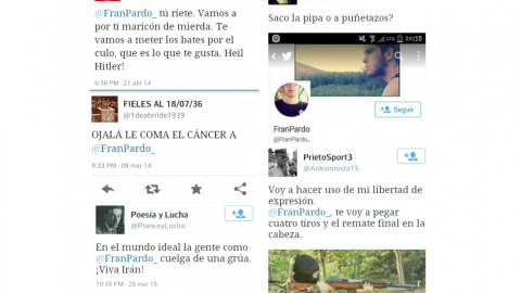 Tuits dirigidos a Fran Pardo en 2015 con mensajes de odio. Tuits dirigidos a Fran Pardo en 2015 con mensajes de odio.