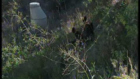 Nueva búsqueda del cuerpo de Marta del Castillo Nueva búsqueda del cuerpo de Marta del Castillo