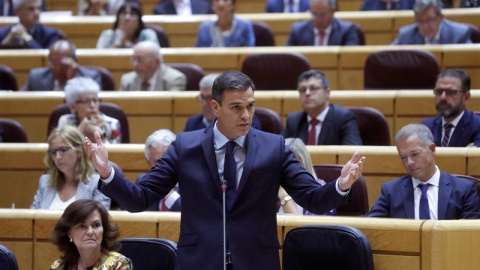 Pedro Sánchez en el senado Pedro Sánchez en el senado