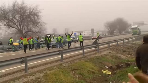Los olivareros de Andújar protestan cortando la A-4