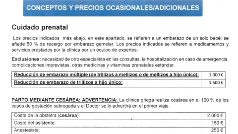 Captura de pantalla de "los conceptos y precios ocasionales" de una agencia de "gestación subrogada".