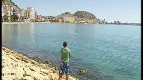 El paro hace aumentar la pesca de caña en el puerto de Alicante El paro hace aumentar la pesca de caña en el puerto de Alicante