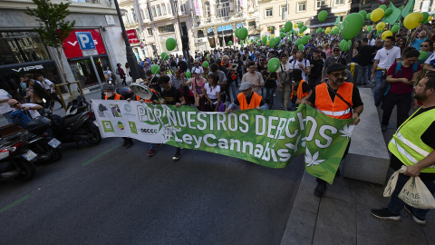 Cannabis Cannabis