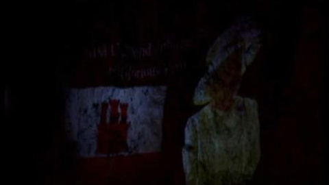 El Gobierno de Gibraltar proyecta la imagen de Isabel II sobre el Peñón El Gobierno de Gibraltar proyecta la imagen de Isabel II sobre el Peñón