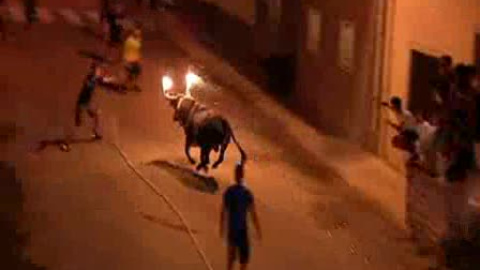 El sufrimiento del toro embolado El sufrimiento del toro embolado