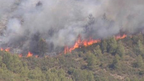 Campaña de concienciación contra los incendios provocados por las colillas Campaña de concienciación contra los incendios provocados por las colillas