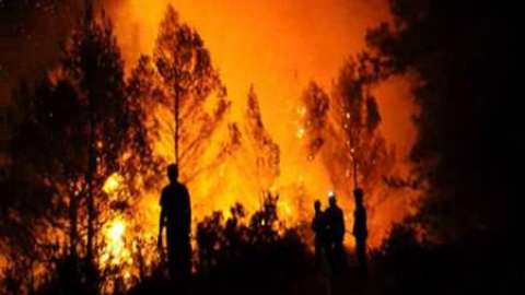 Estabilizado el incendio en Torremanzanas (Alicante) Estabilizado el incendio en Torremanzanas (Alicante)