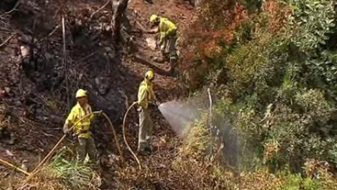 El desolador paisaje tras el incendio en Málaga El desolador paisaje tras el incendio en Málaga