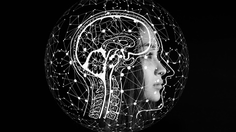 Imagen de un cerebro Imagen de un cerebro