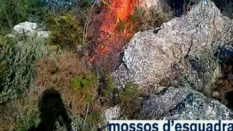 Detenidos dos menores por provocar al menos ocho incendios en Girona Detenidos dos menores por provocar al menos ocho incendios en Girona