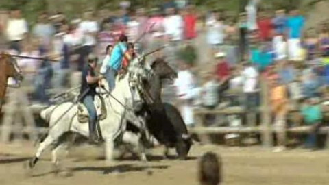 Declarado nulo el toro de la Vega Declarado nulo el toro de la Vega