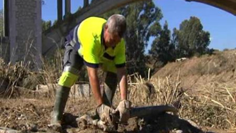 Continúa la búsqueda de un desaparecido en el Valle de Guadalhorce Continúa la búsqueda de un desaparecido en el Valle de Guadalhorce