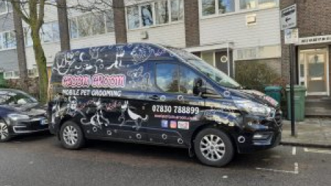 Los perros, el refugio de los ingleses para afrontar la pandemia Los perros, el refugio de los ingleses para afrontar la pandemia