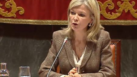 El CGPJ tiene "amplísimas dudas" sobre la constitucionalidad de la reforma del Código Penal El CGPJ tiene "amplísimas dudas" sobre la constitucionalidad de la reforma del Código Penal
