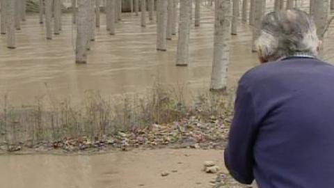 El Río Ebro en alerta roja a su paso por varios pueblos de Aragón El Río Ebro en alerta roja a su paso por varios pueblos de Aragón