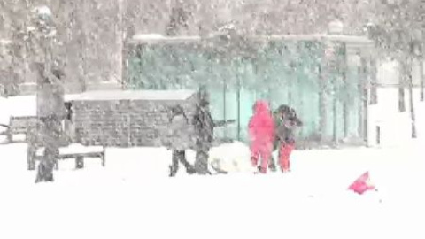 Nieve, granizo y viento en el norte de la península Nieve, granizo y viento en el norte de la península