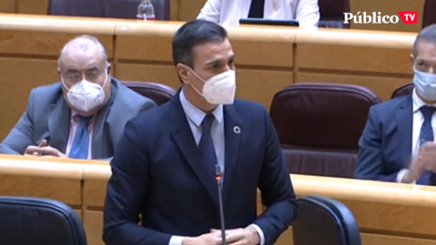 Rifirrafe entre Pedro Sánchez y Javier Maroto Rifirrafe entre Pedro Sánchez y Javier Maroto