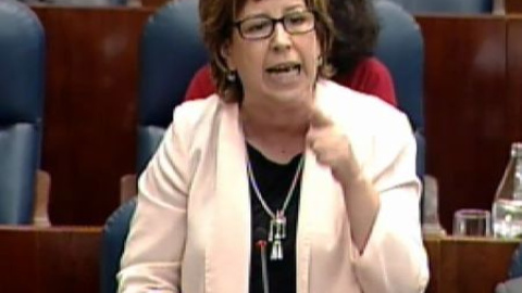 Una diputada del PSM es expulsada de la Asamblea de Madrid durante un mes Una diputada del PSM es expulsada de la Asamblea de Madrid durante un mes