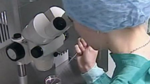 Puerta abierta a la clonación humana Puerta abierta a la clonación humana