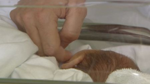 Los nacimientos podrán registrarse desde el hospital Los nacimientos podrán registrarse desde el hospital