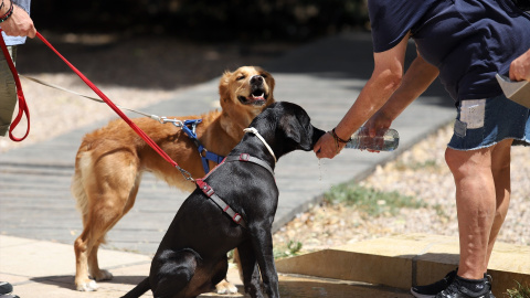 Malagueños y turistas hacen frente a la ola de calor que hoy sufre la ciudad Malagueños y turistas hacen frente a la ola de calor que hoy sufre la ciudad