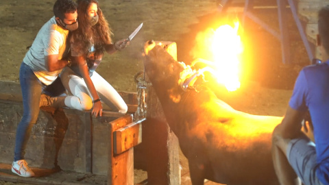 Los toros embolados sufren quemaduras en los ojos debido a la cera derretida de las estopas incendiadas colocadas en las astas. Los toros embolados sufren quemaduras en los ojos debido a la cera derretida de las estopas incendiadas colocadas en las astas.