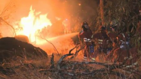 Más de 550 personas trabajan para controlar el incendio de Cebreros Más de 550 personas trabajan para controlar el incendio de Cebreros