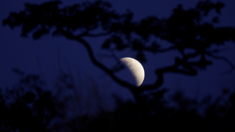 La luna durante un eclipse lunar parcial en Brasilia, Brasil, el 16 de julio de 2019. REUTERS / Ueslei Marcelino La luna durante un eclipse lunar parcial en Brasilia, Brasil, el 16 de julio de 2019. REUTERS / Ueslei Marcelino