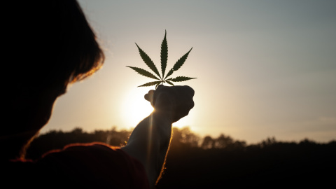Cómo consumir cannabis sin fumar Cómo consumir cannabis sin fumar