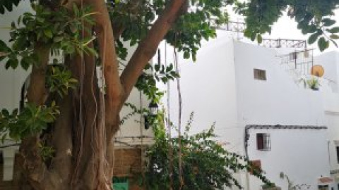 Tánger, la ciudad sin presente Tánger, la ciudad sin presente