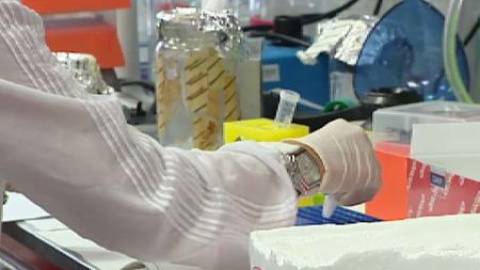 España da un paso al frente en la lucha contra el cáncer España da un paso al frente en la lucha contra el cáncer