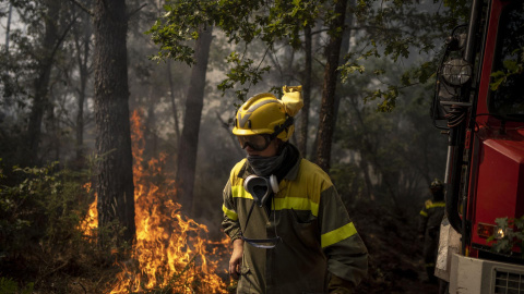 11/08/2022-Incendio que permanece activo en O Irixo (Ourense), este jueves. Las llamas siguen abrasando bosques de Galicia, Extremadura y las dos Castillas. 11/08/2022-Incendio que permanece activo en O Irixo (Ourense), este jueves. Las llamas siguen abrasando bosques de Galicia, Extremadura y las dos Castillas.