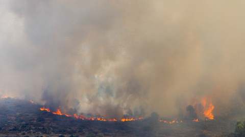 (16/8/22) El incendio de Vall d'Ebo el mismo día que se originó el incendio en la Sierra del Caballo (Petrer), a 100 kilómetros de distancia, el 16 de agosto de 2022. (16/8/22) El incendio de Vall d'Ebo el mismo día que se originó el incendio en la Sierra del Caballo (Petrer), a 100 kilómetros de distancia, el 16 de agosto de 2022.