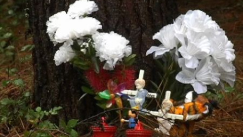 Flores para Asunta Flores para Asunta