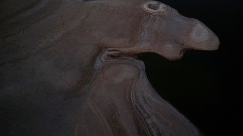 El dolmen de Guadalperal, también conocido como el 'Stonehenge español', reaparece por el retroceso de las aguas del embalse de Valdecañas en las afueras de El Gordo (Cáceres). REUTERS/Susana Vera